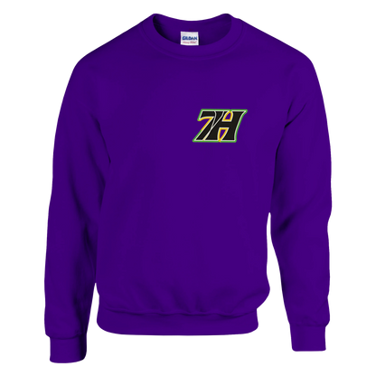 DNA Code Purple Sweatshirt Blau Frontansicht
